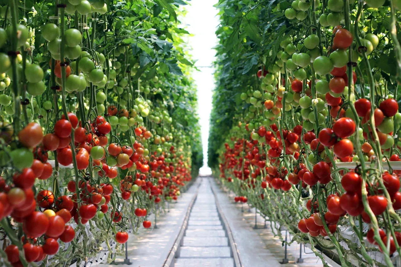 РАБОТНИК СКЛАДА