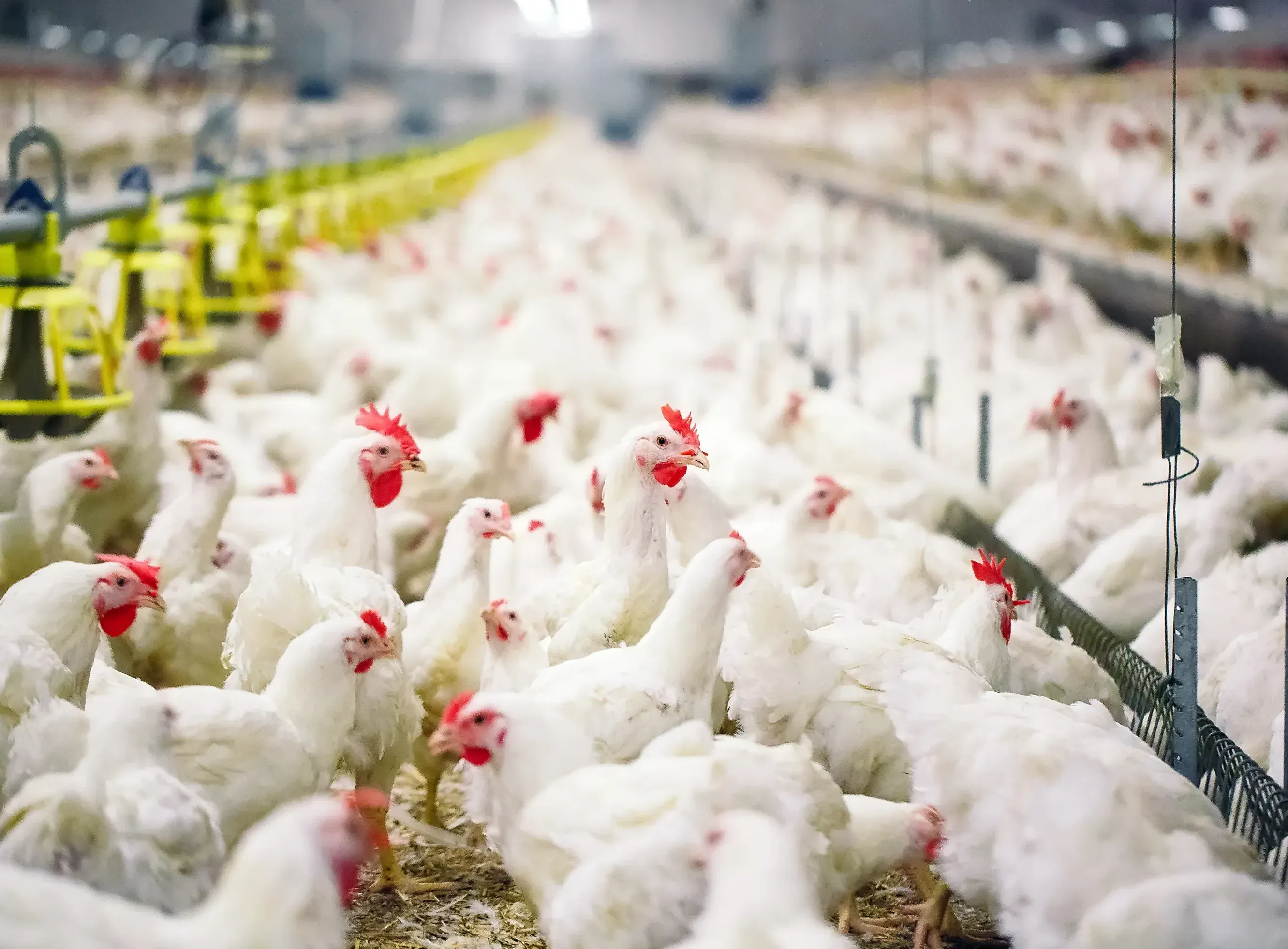 Фасовщик-комплектовщик